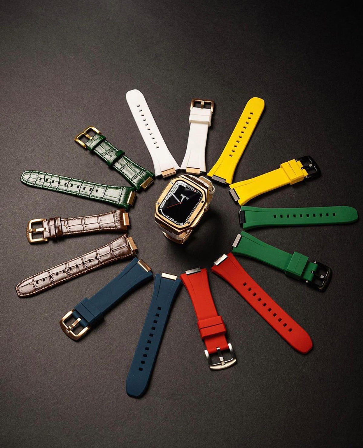 Watch case bands