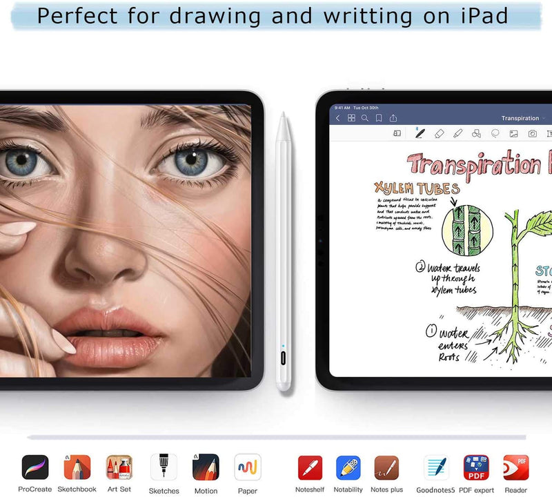 Magnetic Stylus Pencil for iPad